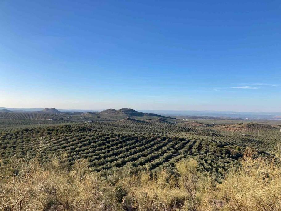 Casa Picual, Mancha Real, Jaen Villa Eksteriør bilde